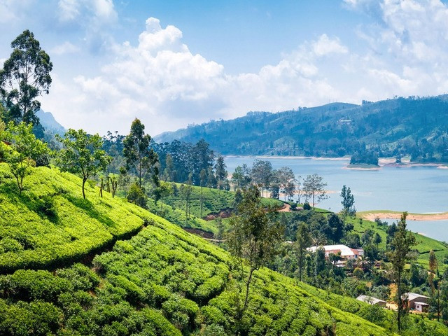 eSIM Sri Lanka – Piani Dati Economici e Attivazione Istantanea | Awinst Connect
