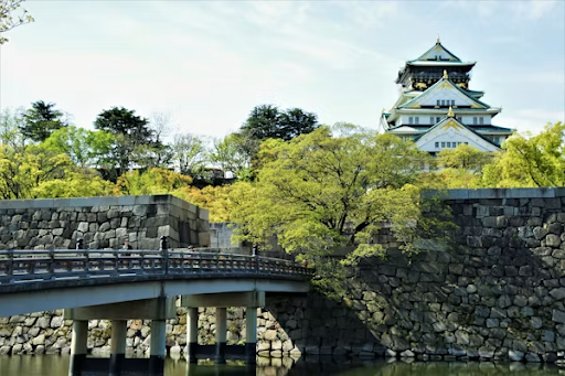 news_6adf5580efb84.webp